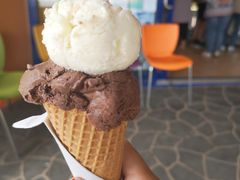 -Dooley's Premium Ice Cream