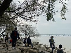 -宝安西湾红树林湿地公园