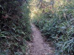 -大罗山风景区