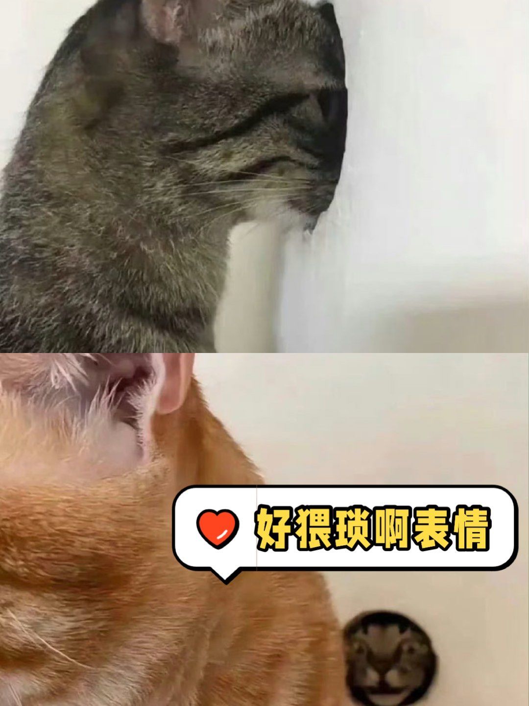 鬼鬼祟祟,猥琐的呢?