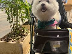 -去茶山(重庆万象城店)