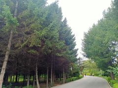 -长春市南湖公园