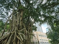-吉隆坡国油双峰塔