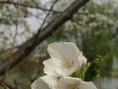-九里河湿地公园