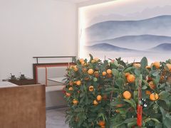 -紫藤园·天目湖大鱼头(南山竹海店)