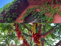 -石岛赤山风景区