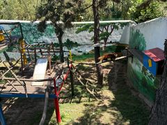 -西霞口神雕山野生动物世界