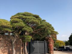 -三星美术馆Leeum
