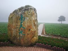 -广州市石门国家森林公园