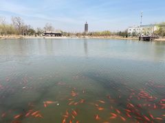 -西海子公园