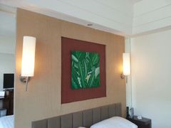 android_upload_pic-三亚亚龙湾凯莱仙人掌度假酒店