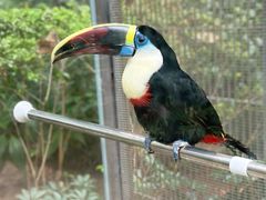 -南宫五洲植物乐园