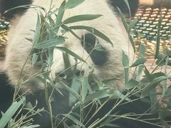 -五龙山野生动物王国