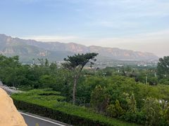 -禅宗少林·音乐大典