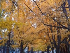 -四川大学(华西校区)