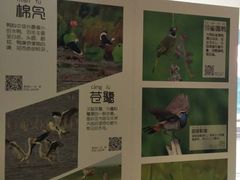 -上海长江河口科技馆