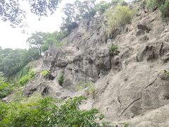 -金鸡山公园