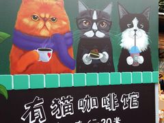 -有猫主题·治愈系猫咖(曾厝垵店)
