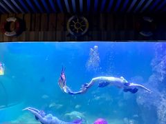 -左海海底世界