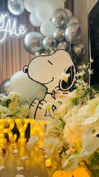 -苏派宝宝生日宴·求婚策划·气球派对布置(园区店)