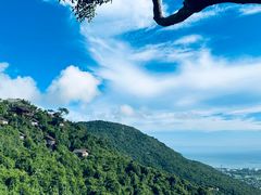 -亚龙湾热带天堂森林公园