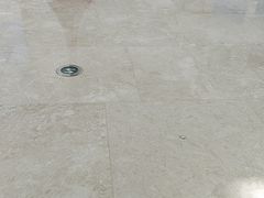 -贝林大翅鲸简餐厅(国家海洋博物馆店)