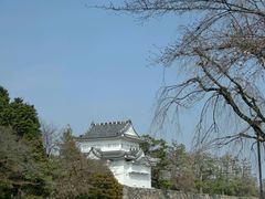 -名古屋城