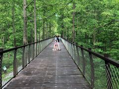 -黄海国家森林公园