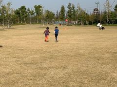 -上海长兴岛郊野公园