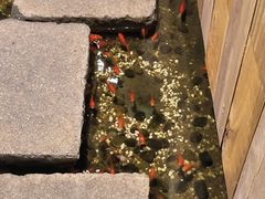 -邈墨茶馆(凤起路店)