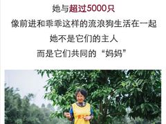 -成都爱之家动物救助中心