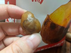 -二斗栗子(黄河道店)