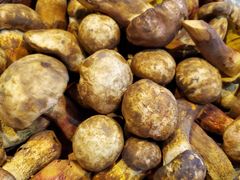 -滇铺子(欣都龙城店)