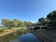 -金银湖国家城市湿地公园