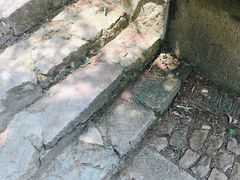 -紫金山天文台