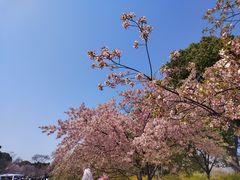 -自然谷恐龙园