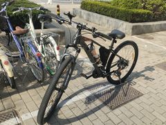 -道路口单车爱瓦士dahon大行