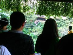 -海南槟榔谷黎苗文化旅游区