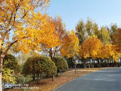 -东郊湿地公园