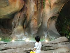 -杭州开元森泊度假乐园