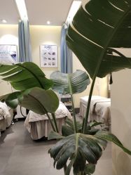 -蜜丝卡伦美甲美睫连锁