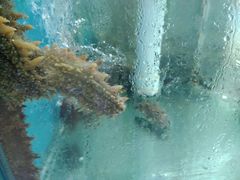 -聚德福海鲜家常菜(刘庄店)