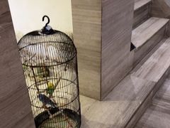 -云中漫步·足疗养生会馆(金开店)