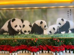 -成都驻京办餐厅(蜀都宾馆店)