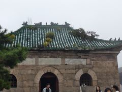 -鲁山国家森林公园