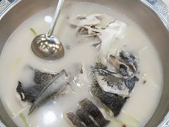 -全乐鱼馆·淳牌有机鱼直营店