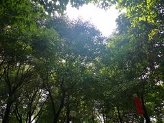 -尚贤河湿地
