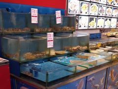 -添福来墨鱼饺子 · 海鲜东北菜(大连星海·黄浦路店)