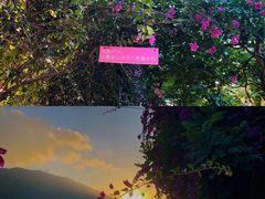 -亚龙湾国际玫瑰谷