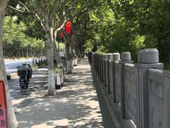 -颛桥紫薇花园